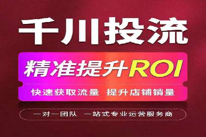 SEM精准广告投放的五大成功案例